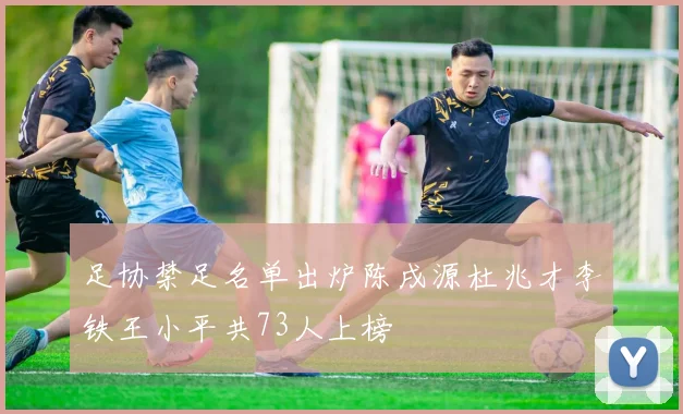 足协禁足名单出炉陈戌源杜兆才李铁王小平共73人上榜