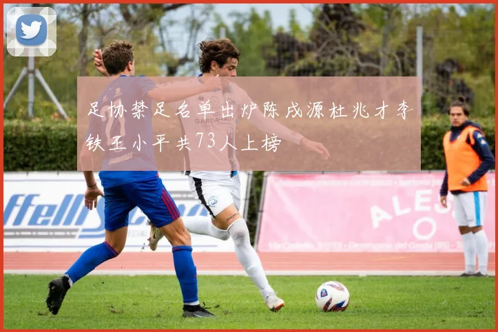 足协禁足名单出炉陈戌源杜兆才李铁王小平共73人上榜