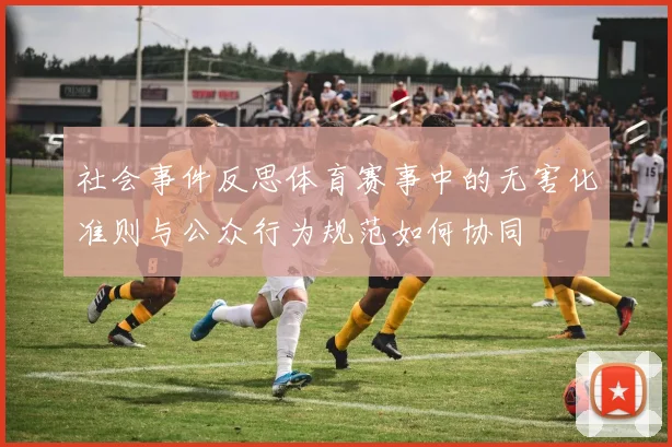 社会事件反思体育赛事中的无害化准则与公众行为规范如何协同