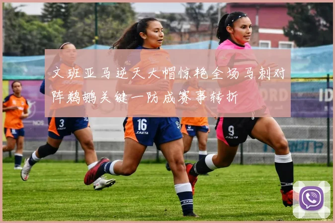 文班亚马逆天大帽惊艳全场马刺对阵鹈鹕关键一防成赛事转折